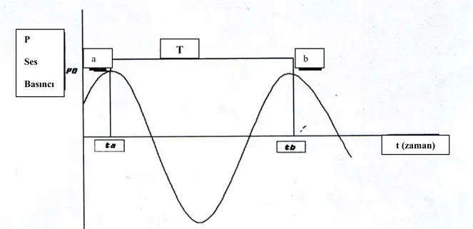 Şekil 2.1. Basit harmonik bir ses dalgasının bir noktada oluşturduğu ses  basıncının zamanla değişimi (Karadayı-2001) 