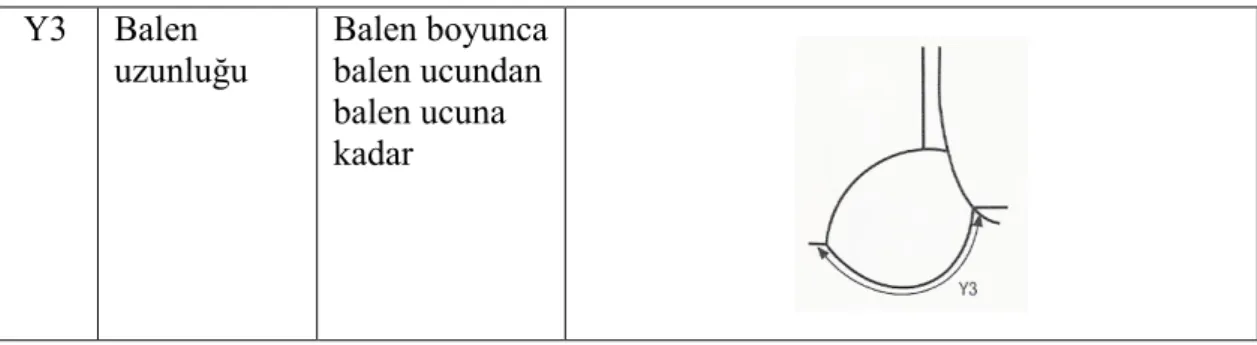 Şekil 3: Bitmiş ürün ölçüm yerleri ( Cihangir, 2002, 38-39-42-45-48-50-55-56-57- 38-39-42-45-48-50-55-56-57-62)