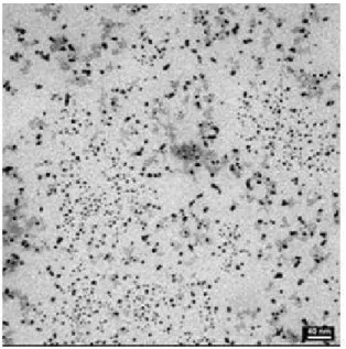 Şekil 10 : Nano Gümüş partiküllerinin biosentez ve kimyasal sentez sonucu  görünümü (4)