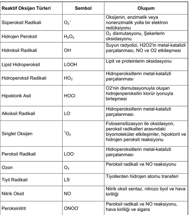 Tablo 1.2 Reaktif oksijen türleri, kaynakları ve oluşumları (Cheeseman ve Slater 1993)