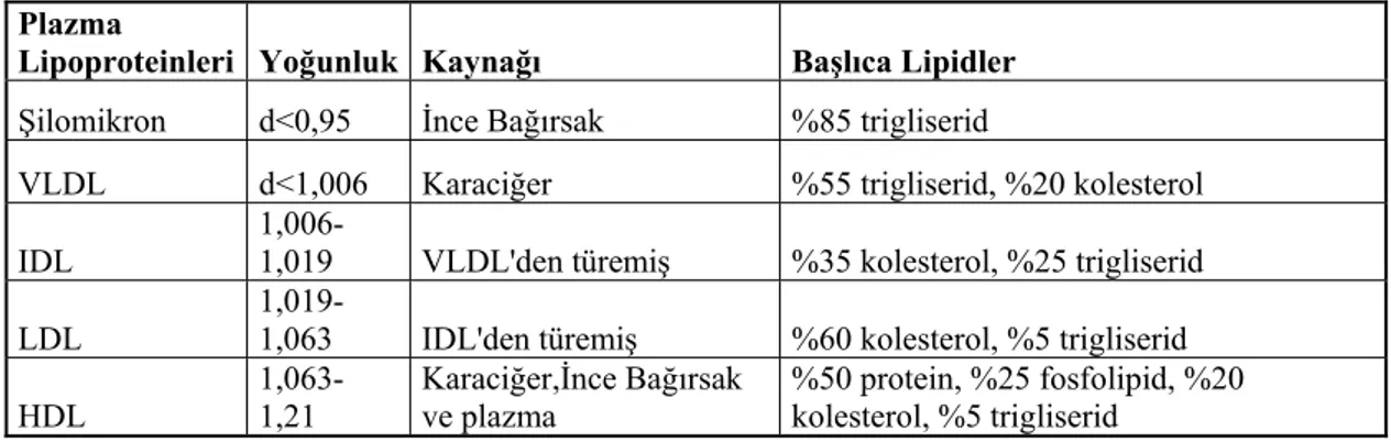 Tablo 1.4 Plazma lipoproteinleri (Marley 1990).  