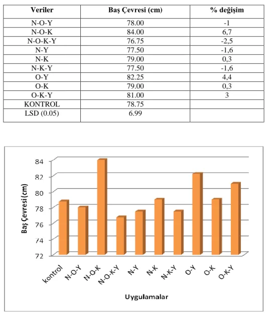 Çizelge  4.2.  Sera  koşullarında  bitki  büyümesini  artırıcı  rizobakterlerin  marulda  baş  çevresine etkisi ve kontrol grubuna göre değişim oranı 