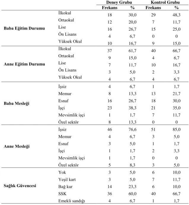 Çizelge 3.1. Deney ve kontrol gurubunun demografik bilgilere ilişkin frekans (f) ve  yüzde (%) dağılımı 