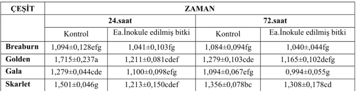 Çizelge 2. SOD aktivitesinden bakımından inokule edilmiş elma çeşitleri ve uygulama  zamanları arasındaki değerlendirme  