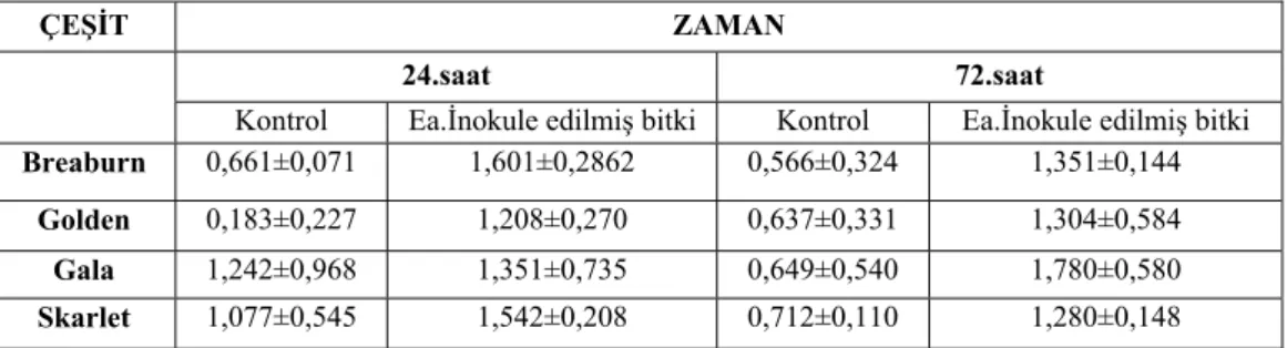 Çizelge 6. CAT aktivitesinden bakımından inokule edilmiş elma çeşitleri arasındaki  değerlendirme 