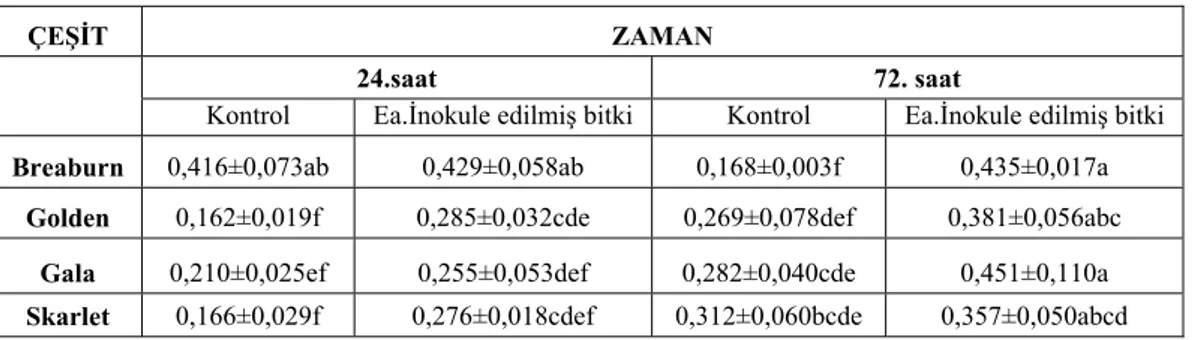 Çizelge 14. Toplam klorofil miktarı bakımından inokule edilmiş elma çeşitleri ve  uygulama zamanları arasındaki değerlendirme 