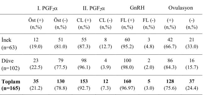 Çizelge  3.1.  Çalışmada  uygulanan  modifiye  ovsynch  yönteminde  tespit  edilen  östrüs,  CL, FL sayı ve oranları   I
