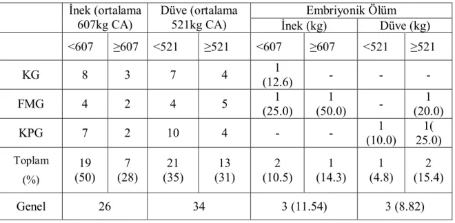 Çizelge 3.5 Canlı ağırlık ortalamasının altında ve üstünde bulunan hayvanlarda gebe  kalma ve embriyonik ölüm ve oranları (p &gt; 0.05)