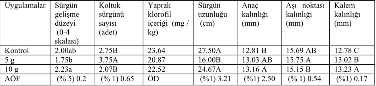 Çizelge 4. 5.  ‘Early Muscat’ / 140 Ru aşı kombinasyonunda sürgün gelişmesi, anaç kalınlığı, aşı kalınlığı  ve yaprak klorofil içeriğine etkileri* 
