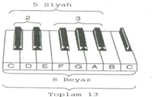 Şekil 1.6: Piyano tuşlarının bir oktavındaki Fibonacci sayıları 