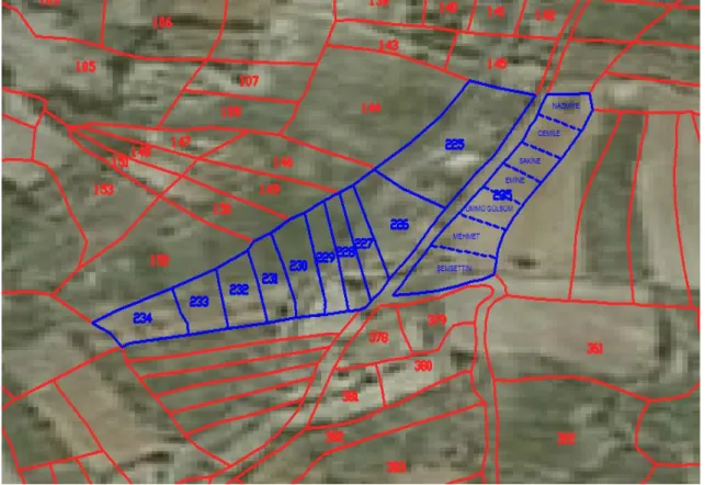 Şekil 4.6. Yanıkkışla köyünde Mirasa konu olan parseller 