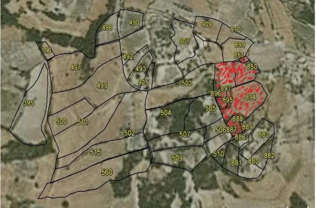 Şekil 4.7. Kızılçukur köyünde Mirasa konu olan parseller 