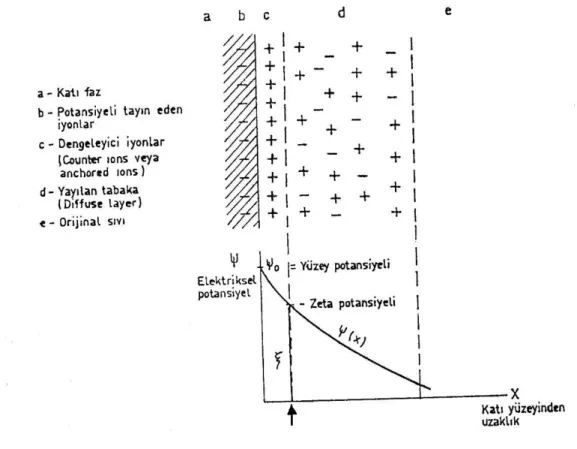 Şekil 2.8. Elektriksel çift tabaka  ve  zeta potansiyeli (İpekoğlu, 1985) 