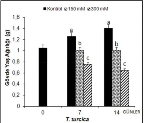 Şekil 4.6. 7 ve 14 gün süreyle tuz stresi etkisi altındaki fidelerinin gövde yaş ağırlıklarında (g) gözlenen  ortalama değişimler (n=10)