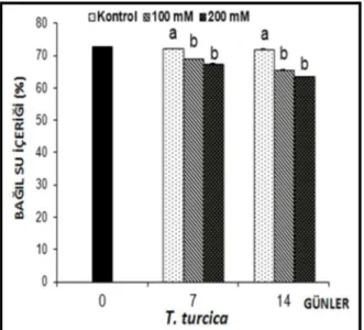 Şekil 4.8. 7 ve 14 gün süreyle tuz stresine maruz bırakılan Thermopsis turcica fidelerinin yaprak bağıl su  içeriklerinde (RWC) gözlenen ortalama değişimler (%), (n=6)