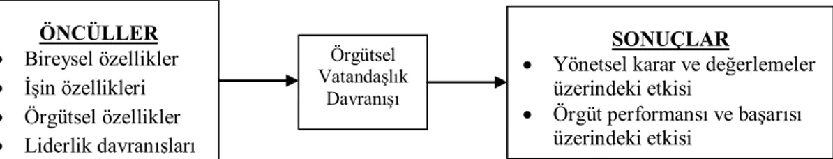 ġekil 2.1‟de örgütsel vatandaĢlık davranıĢının öncülleri ve sonuçları bir bütün  halinde  gösterilmiĢtir