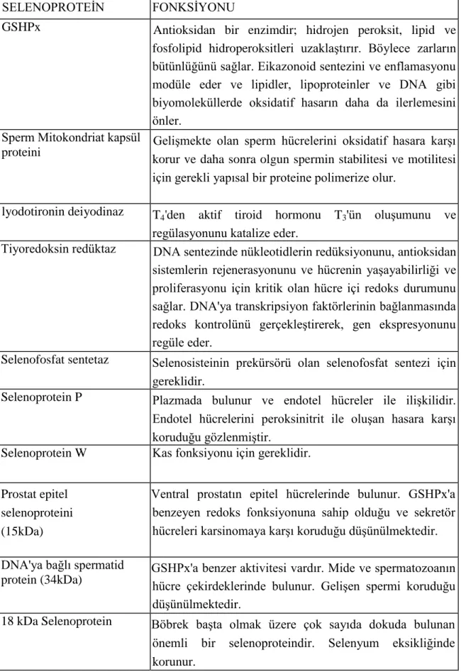 Çizelge 2.3. Selenoproteinler ve işlevleri  