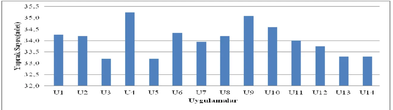 Şekil 4.1.5. Karnabaharda uygulanan farklı organik ve inorganik gübrelerin yaprak sayısına etkisi 