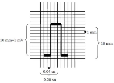 Şekil 3.3. Elektrokardiyogramdaki dikey ve yatay aralıklara ilişkin değerler  