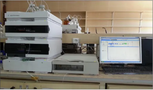Çizelge 7. 2. Kullanılan HPLC Sistemi 