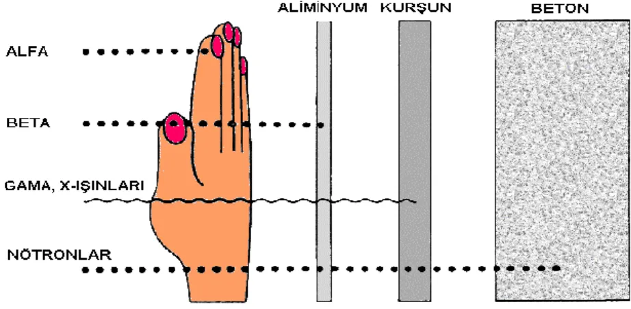 Şekil 2.6.  Farklı radyasyon türleri için giricilik mesafesi (Büyükuslu, 2007) 