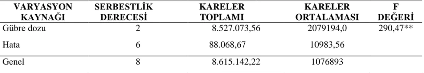 Çizelge  4.7.  M.  spicata  (Bahçe  Nanesi)da  Farklı  Gübre  Dozlarındaki  YaĢ  Herba  Verimine  Ait  Veri  Analiz Tablosu  VARYASYON  KAYNAĞI  SERBESTLĠK DERECESĠ  KARELER TOPLAMI  KARELER  ORTALAMASI  F  DEĞERĠ  Gübre dozu  2  8.527.073,56  2079194,0  2