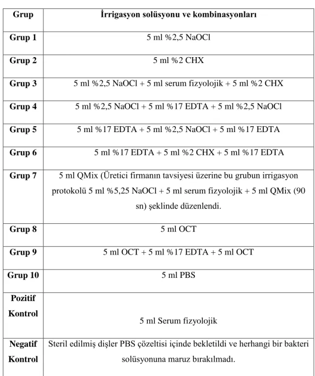 Çizelge 2.4.2. Deney ve Kontrol Grupları 