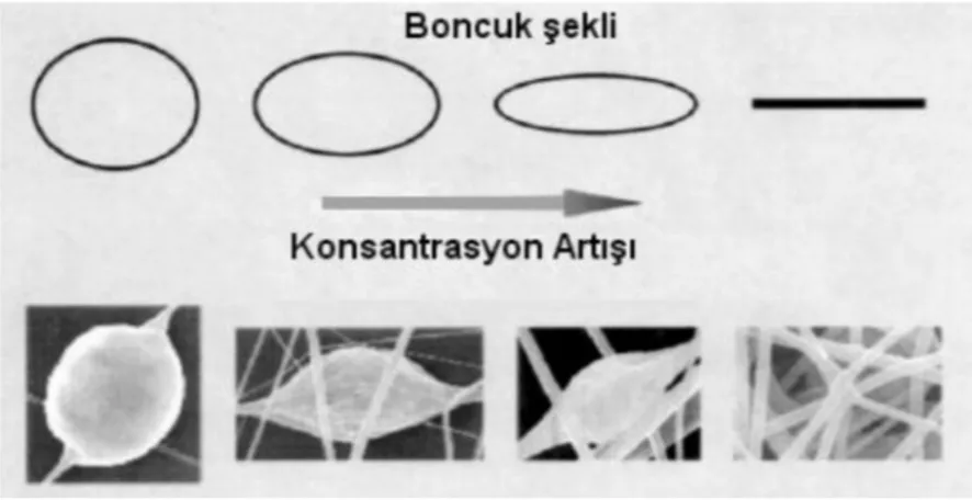 Şekil 5.5. Çözelti konsantrasyondaki artışla boncuk şekli arasındaki ilişki (Kozanoğlu, 2006) 