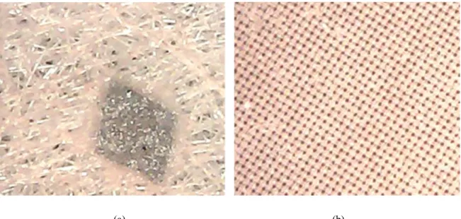 Şekil 6.1. Elektro-eğirmede kullanılan altlıkların mikroskop görüntüsü (350 büyütme) (a) PET spunbond  mikrofiber filtre, (b) monofilament mikrofiber filtre  