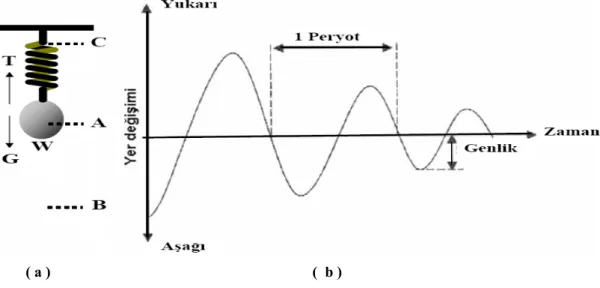 Şekil 1.13.  Bir yayda mekanik dalga yayılımı ( a ) Yaya asılmış yük, ( b ) W yükünün A konumuna göre  zaman ile yer değişimi