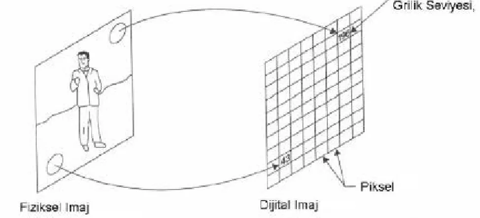 Şekil 4.2. Bir fiziksel görüntü ve dijital karşılığı (Güler ve ark, 2007) 