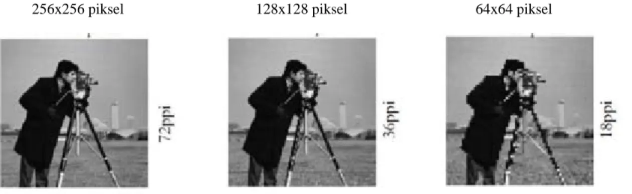 Şekil 4.14. Sayısal imgede örnekleme (McAndrew, 2004) 