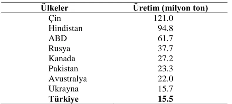 Çizelge 1.2. Dünyada buğday üreten ülkeler (Anonim, 2013a). 