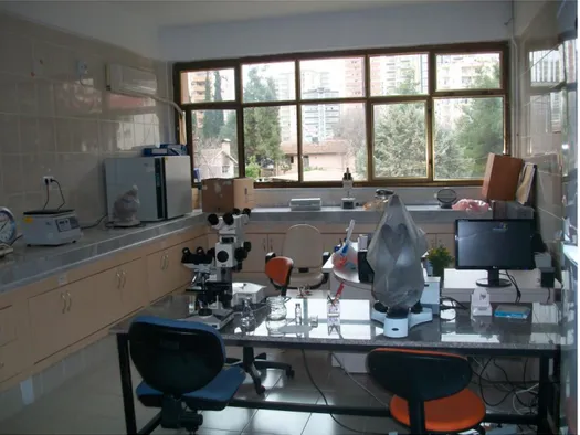ġekil 2.4. Adana Veteriner Kontrol Enstitüsü Parazitoloji Laboratuarı 