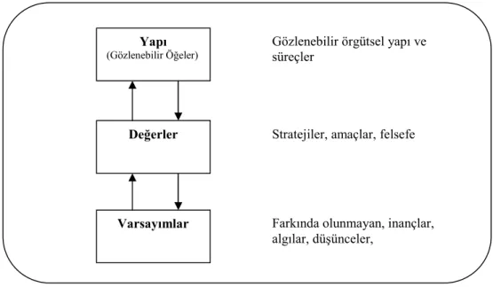 Şekil 3: Kültürün Seviyeleri (Schein, 1997, s.17)