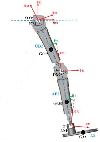 Şekil 6.3. Çift ayak salınım hareketi modelinde koordinat sistemlerinin yerleşimi 