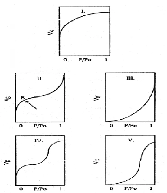 Şekil 1.3. Adsorpsiyon izoterm tipleri (Satterfield, 1980). 