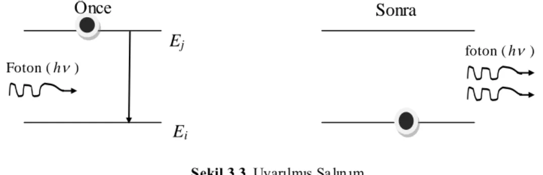 ġekil 3.3. UyarılmıĢ Salın ım 