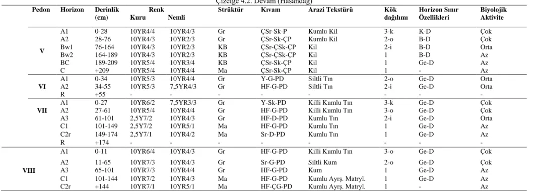 Çizelge 4.2. Devam (Hasandağ)  Pedon  Horizon  Derinlik 