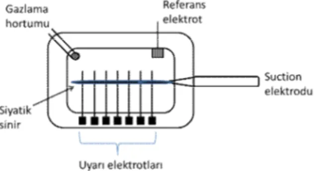 Şekil 1.7: Suction kayıt yöntemi genel şeması. 