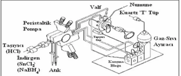 ġekil 1.7. Hidrür atomlaĢtırıcı akıĢ enjeksiyon sistemi (Tunç 2006). 