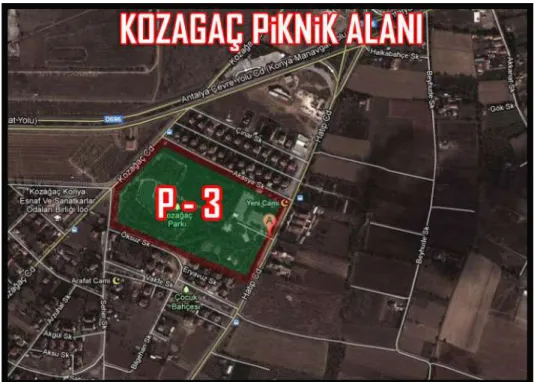 ġekil 3.6. Kozağaç Piknik Alanı hava fotoğrafı 