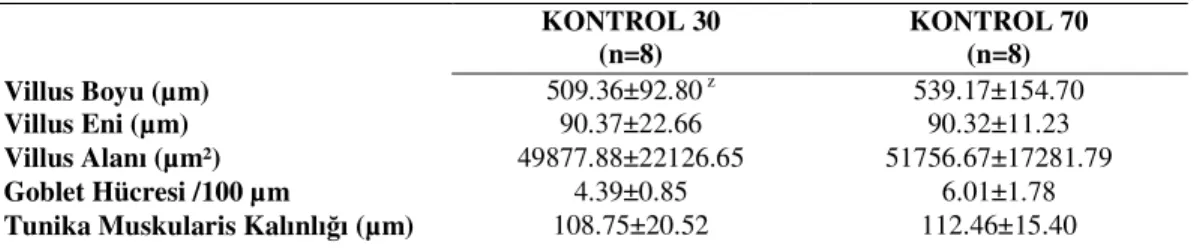 Çizelge  4.6.  Kontrol  30  ve  Kontrol  70  bağımlı  gruplarındaki  ratların  ince  bağırsak  dokusundaki  histometrik verilerin karşılaştırılması 
