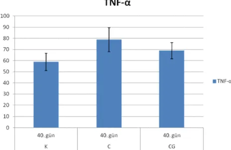 Şekil 3.6. 40. gün plazma TNF-α düzeyleri (pg/ml). 