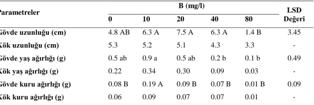 Çizelge 4.3. Gypsophila arrosti’nin farklı B uygulamalarındaki bitki gelişim seyri 
