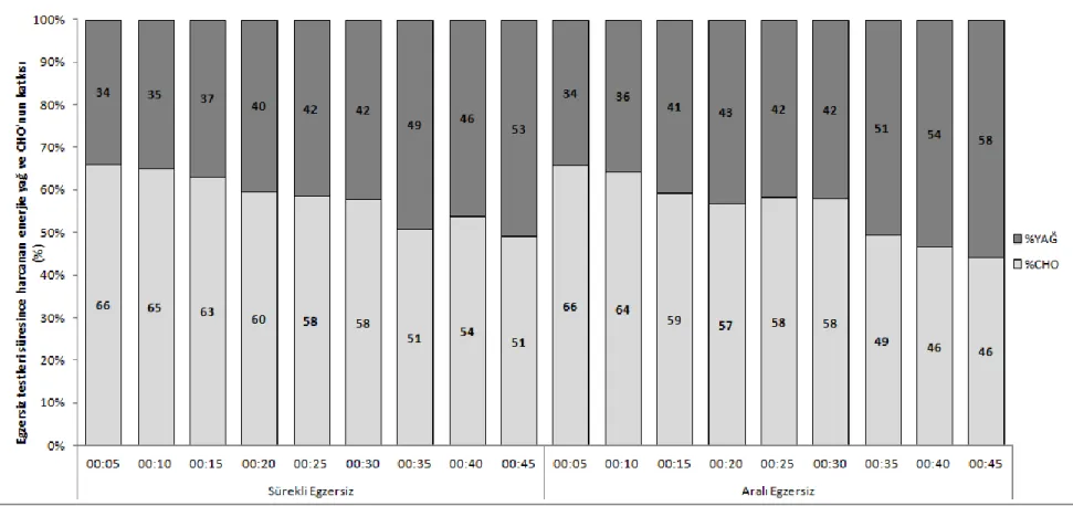 Grafik 3.3. Aralıksız ve aralıklı uygulanan egzersizler süresince harcanan enerjiye yağ ve CHO oksidasyonun katkısı 