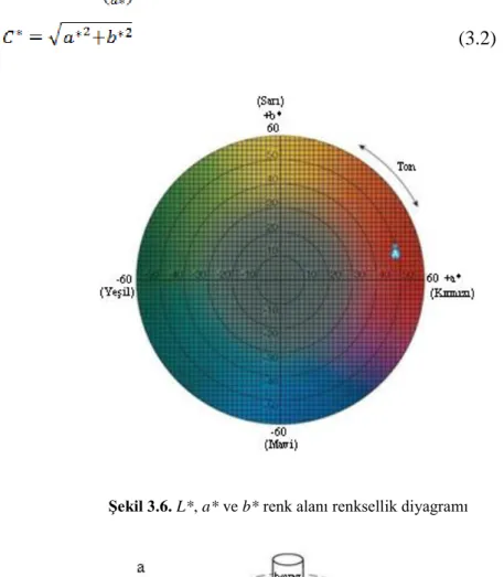 Şekil 3.6. L*, a* ve b* renk alanı renksellik diyagramı 