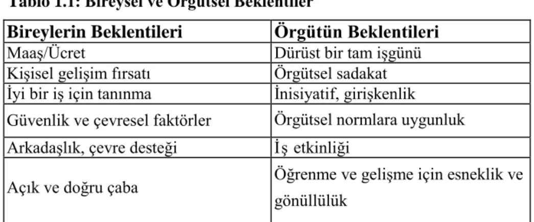 Tablo 1.1: Bireysel ve Örgütsel Beklentiler 