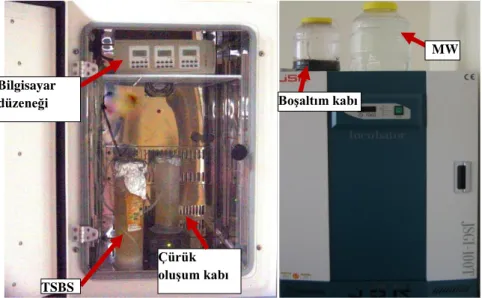 Tablo  2.1:  İn  vitro  mikrobiyal  çürük  modelinde  kullanılan  solüsyonların  günlük  uygulama zamanları 