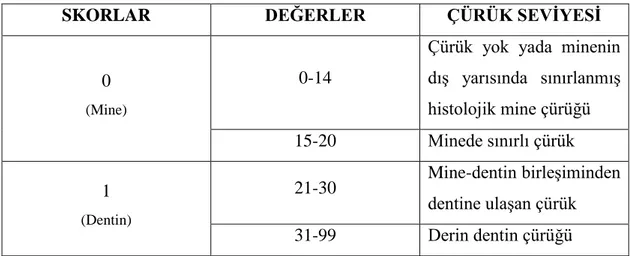 Tablo 2.2: DIAGNOdent ölçümlerinin değerlendirme kriterleri 